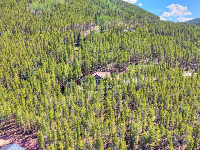 139 Pennsylvania Creek Trail photo 42