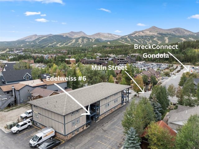 Condo in Edelweiss Condo, Breckenridge, CO (MLS S1071378)