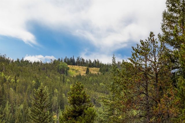 Condo in Kindred Residences, Keystone, CO (MLS S1071416)