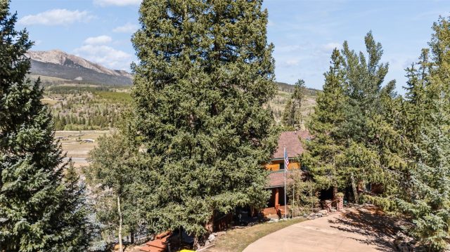 231 Fairview Boulevard photo 39
