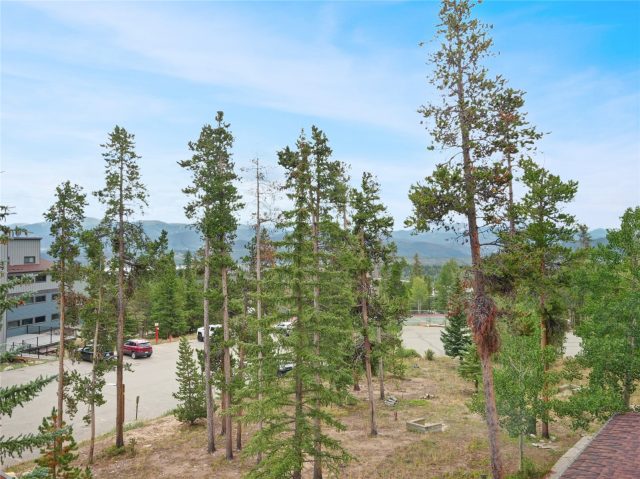89100 Ryan Gulch Road 301 photo 3