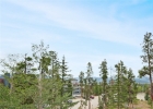 89100 Ryan Gulch Road 301 photo 5
