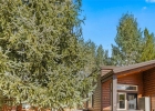 85 Revett Drive 101 photo 36