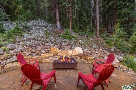 1003 Boreas Pass Road photo 15