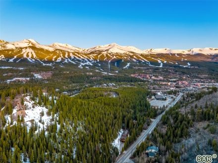 1003 Boreas Pass Road photo 50