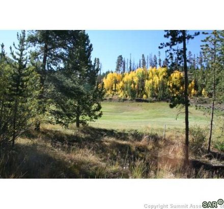 Land in Elk Run Sub Aka Old Keystone Golf Course Sub, Keystone — photo 4 Land in Elk Run Sub Aka Old Keystone Golf Course Sub, Keystone, CO — photo 4 (MLS S363396)