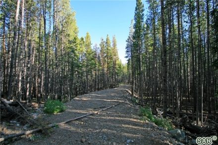 121 Silver Queen Dr photo 8