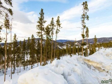 1067 Discovery Hill Dr photo 14