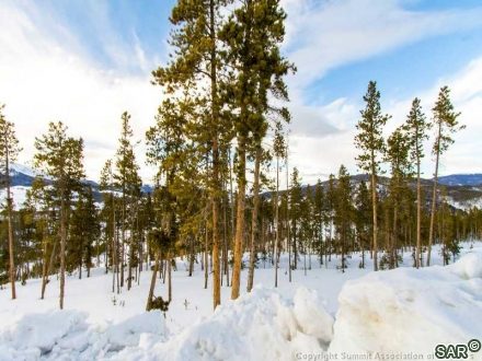 1067 Discovery Hill Dr photo 15