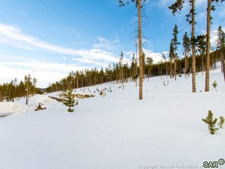 1067 Discovery Hill Dr photo 24