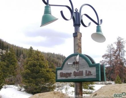 108 Ginger Quill Lane photo 11