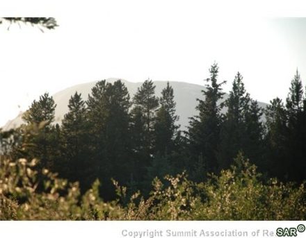 Land in Seldom Acres, Breckenridge, CO — photo 5 (MLS S366195)