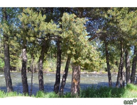 890 Blue River Pky photo 26