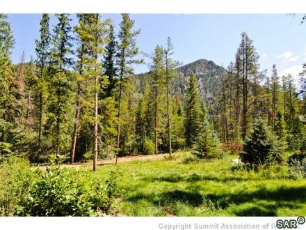 47 Wolf Rock Road photo 23
