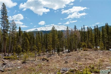 Land in Gold King Placer Unsub, Breckenridge, CO — photo 4 (MLS S367418)