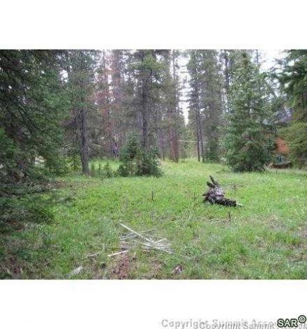 Land in 96 Sub, Blue River — photo 3 Land in 96 Sub, Blue River, CO — photo 3 (MLS S368026)