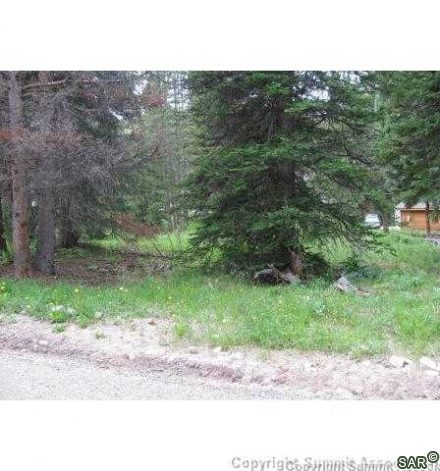 Land in 96 Sub, Blue River — photo 4 Land in 96 Sub, Blue River, CO — photo 4 (MLS S368026)