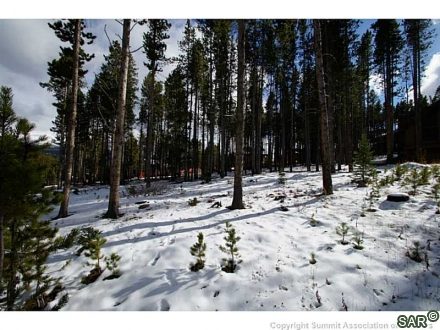 Land in Four O Clock Sub, Breckenridge, CO — photo 1 (MLS S368531)