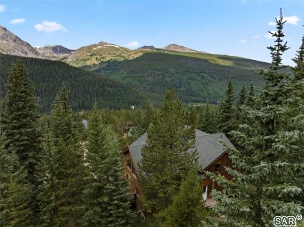 Home in 39 Degrees North Sub, Breckenridge, CO — photo 4 (MLS S370028)