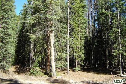 Land in Shadows Sub, Breckenridge, CO — photo 3 (MLS S370485)