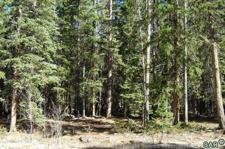 Land in Shadows Sub, Breckenridge, CO — photo 4 (MLS S370485)