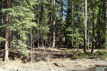 Land in Shadows Sub, Breckenridge, CO — photo 6 (MLS S370485)