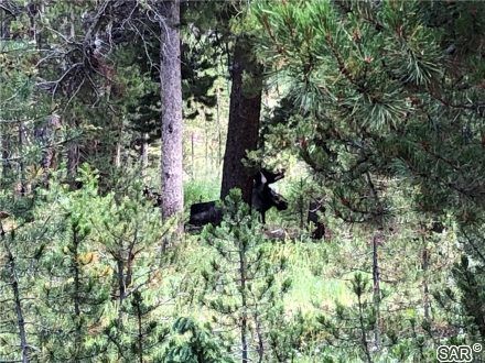 Land in Tordal Estates Sub, Breckenridge, CO — photo 2 (MLS S370666)