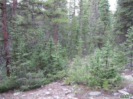 Land in Montezuma Town Sub, Montezuma, CO — photo 4 (MLS S370821)