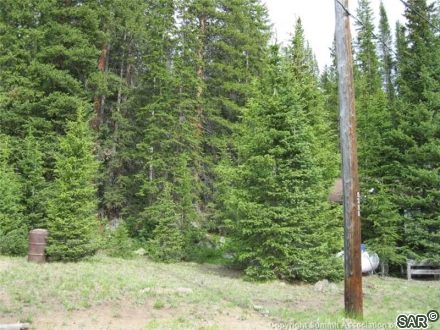 Land in Montezuma Town Sub, Montezuma, CO — photo 6 (MLS S370821)