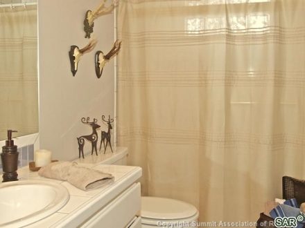123 Twin Pines Ct photo 14