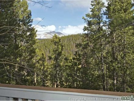 123 Twin Pines Ct photo 21
