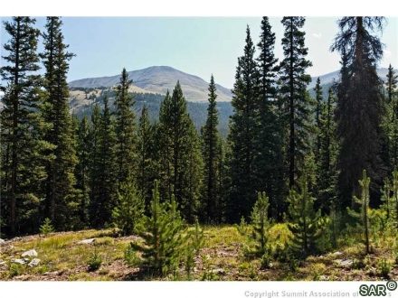 Land in Tordal Estates Sub, Breckenridge, CO — photo 6 (MLS S370995)