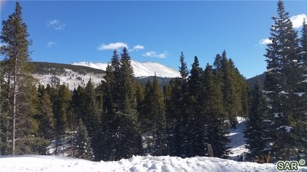 Land in Crown Sub, Blue River, CO — photo 1 (MLS S371354)