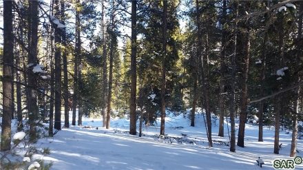 Land in Crown Sub, Blue River, CO — photo 2 (MLS S371354)