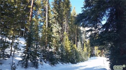 Land in Crown Sub, Blue River, CO — photo 4 (MLS S371354)
