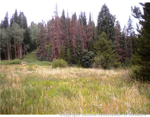 978 Deer Path Road, Dillon, CO — main photo