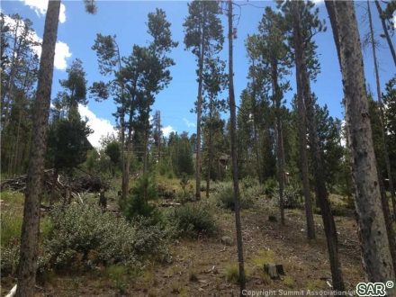 Land in Dillon Valley Sub, Dillon — photo 2 Land in Dillon Valley Sub, Dillon, CO — photo 2 (MLS S371704)