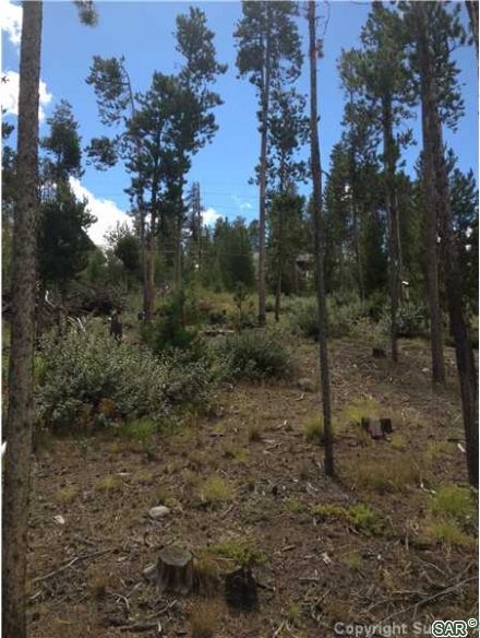 418 Deer Path Rd photo 7