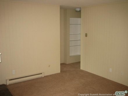 27 Peaks View Ct photo 9