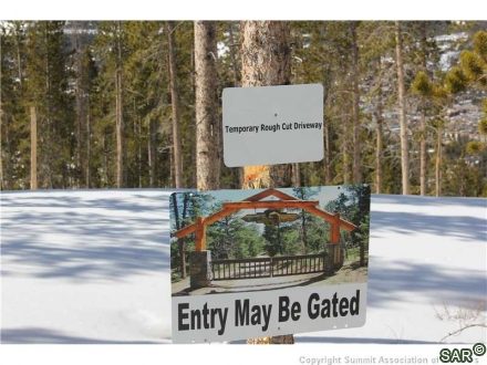546 Western Sky Dr photo 2