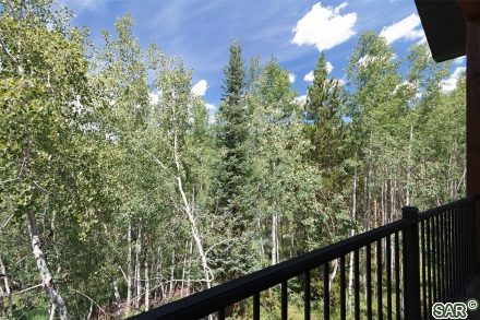 376 Black Hawk Cir photo 33