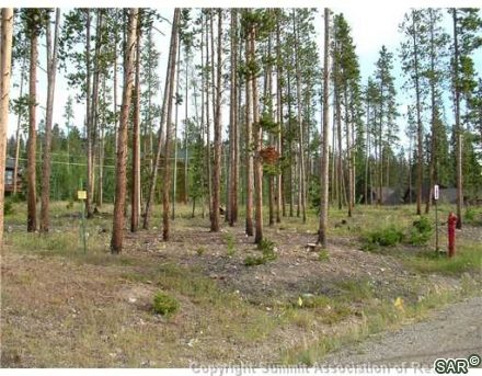 143 Elk Thistle Drive photo 10