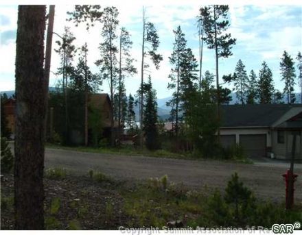 143 Elk Thistle Drive photo 11