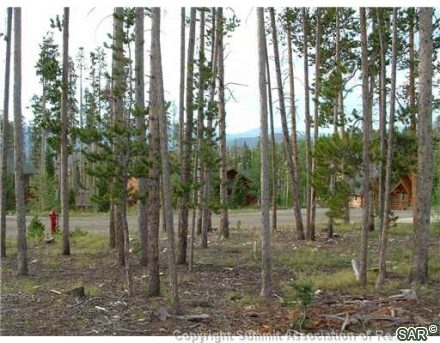 143 Elk Thistle Drive photo 12