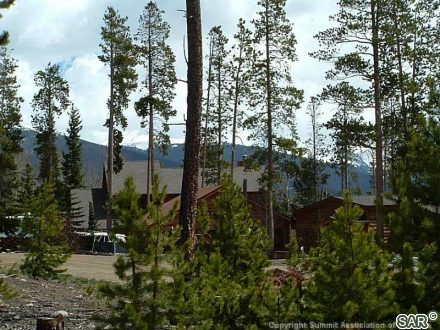 143 Elk Thistle Drive photo 14