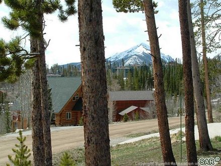 143 Elk Thistle Drive photo 16