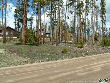 143 Elk Thistle Drive photo 17