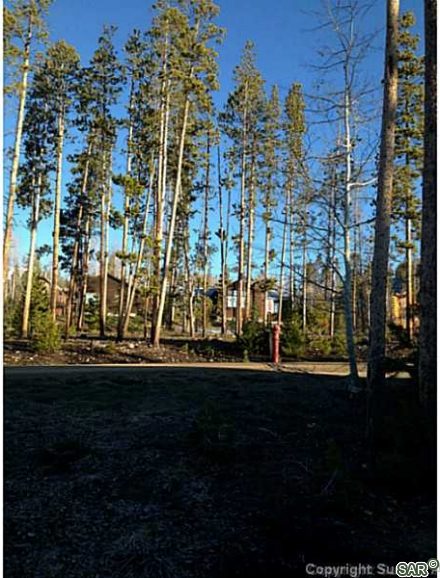 Land in Cortina Sub, Silverthorne — photo 3 Land in Cortina Sub, Silverthorne, CO — photo 3 (MLS S372949)