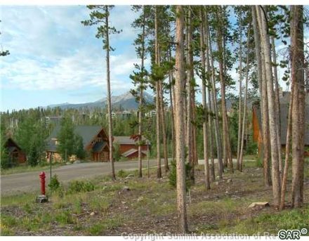 143 Elk Thistle Drive photo 7