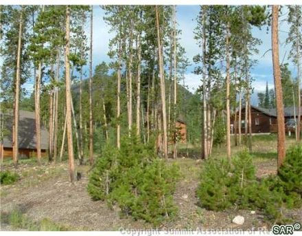 143 Elk Thistle Drive photo 8